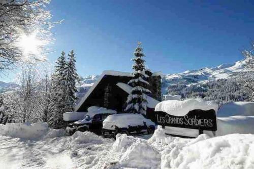 Les GRANDS SORBIERS à Méribel - Charmant studio situé à 2 pas des pistes & du centre de Méribel