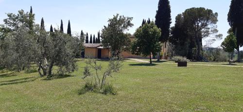 Villa Poggio le Vignacce - Marciano
