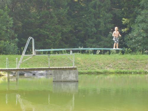 Ferienwohnungen Jagerhüttn, 9571 Sirnitz