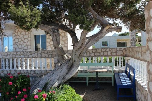 Kaouki beach Apart'hotel Kaouki beach Apart'hotel