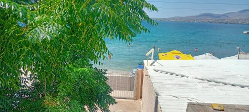 Beachfront 3-bedroom apartment