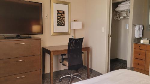 One-Bedroom Queen Suite