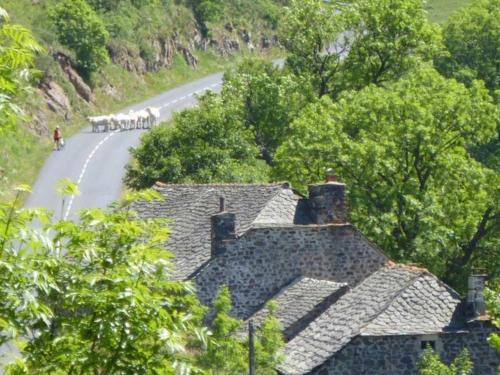 Gîte Les Estables 4 pièces 6 personnes - FR-1-582-143 - image 8