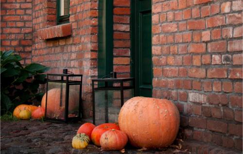 Holiday home Wolin Unin - image 10