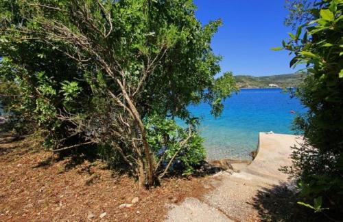 Seaside holiday house Cove Gabrica, Korcula - 17195