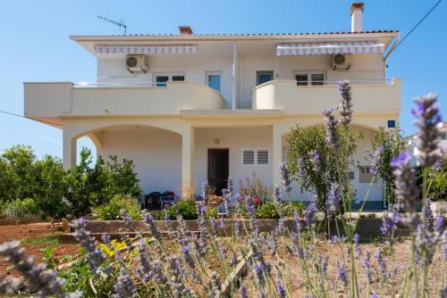  Apartments by the sea Petrcane, Zadar - 17342, Pension in Petrčane