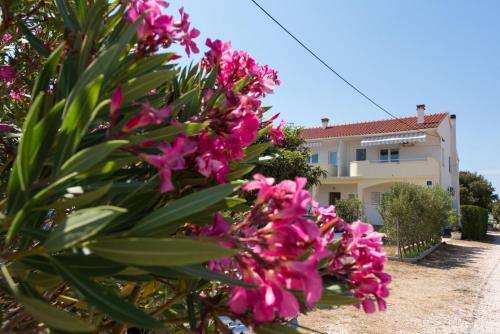  Apartments by the sea Petrcane, Zadar - 17342 in Petrčane