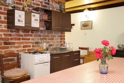 virtuve, Apartments for families with children Perusic (Velebit) - 17540 in Perušić