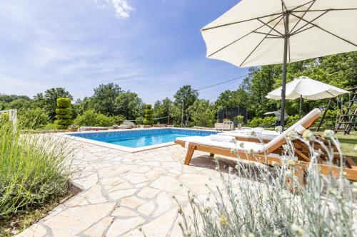 Family friendly house with a swimming pool Rakotule, Central Istria - Sredisnja Istra - 17418