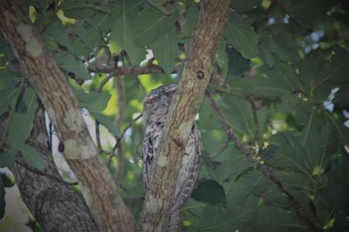 Lovestone Cottages Montville