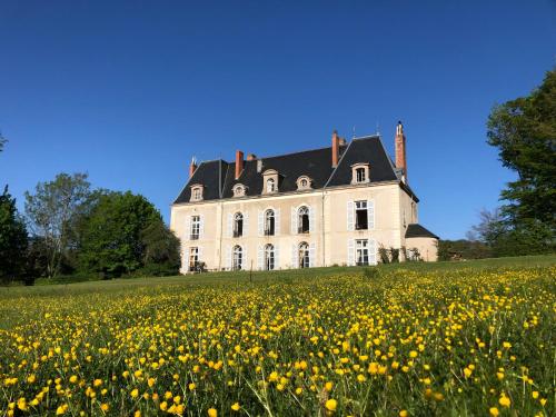 B&B Blondeaux - Château de Vaux - Bed and Breakfast Blondeaux