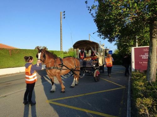 Le Carbet Vendeen