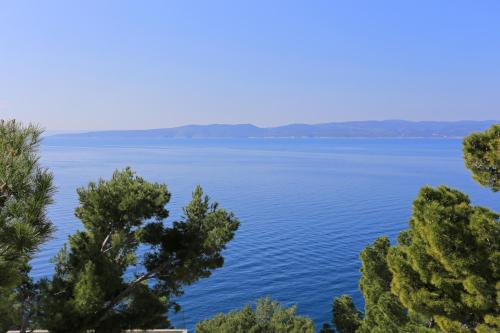 Double Room with Balcony and Sea View image 7