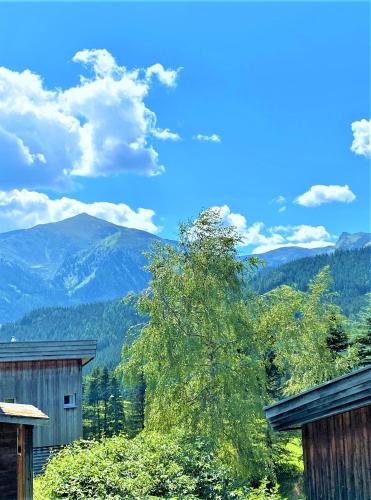 CHALET / URIGE Stamperlhütte auf ü. 1250m+DAMPFBAD