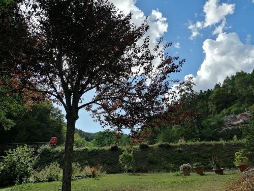 Appartement entier rénové dans un écrin de verdure