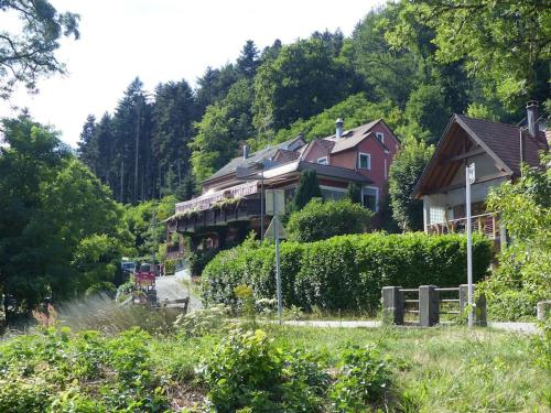 Appartement entier dans un écrin de verdure (Appartement entier dans un ecrin de verdure) in Thann