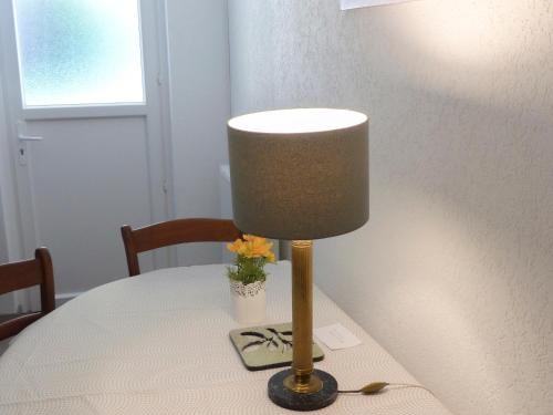 Appartement entier dans un écrin de verdure (Appartement entier dans un ecrin de verdure) in Thann