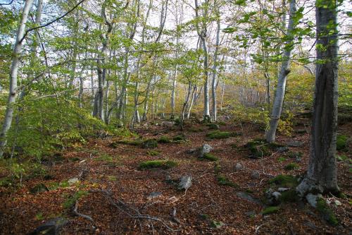 Holiday home Mirador Sierra del Madero gîte à louer Valdelavilla