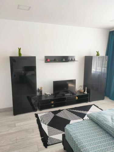 . Apartament cu 1 dormitor