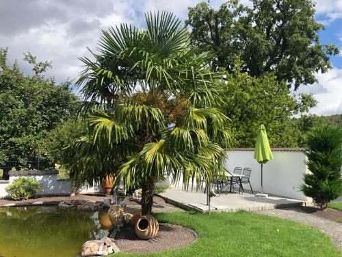 花園, Ferienwohnung am Pferdemarkt in 孔茨