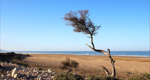 Kaouki beach Apart'hotel Kaouki beach Apart'hotel