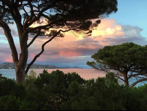 Villa Jungle Beach - Location, gîte - Sainte-Maxime