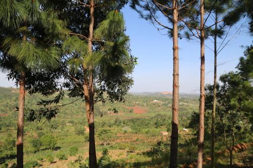 SINA Village in Mpigi