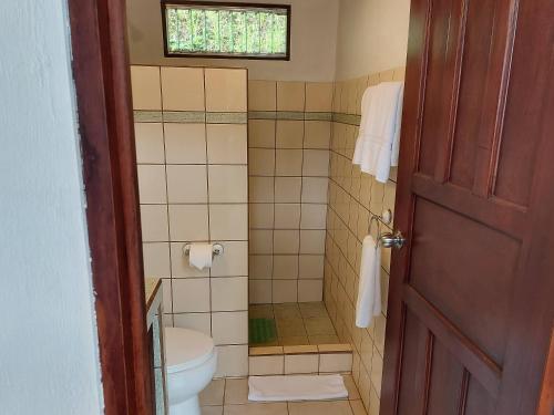Standard Villa image 1