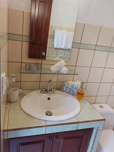 Standard Villa image 2