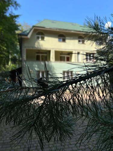 SHIPOVEC - image 13