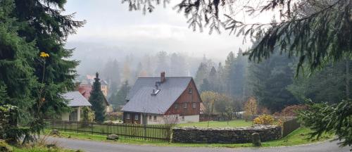 Am Waldessaum in Kurort Oybin, Deutschland