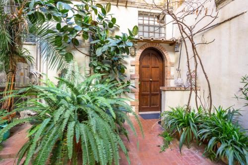 The Magic Hole, Roma