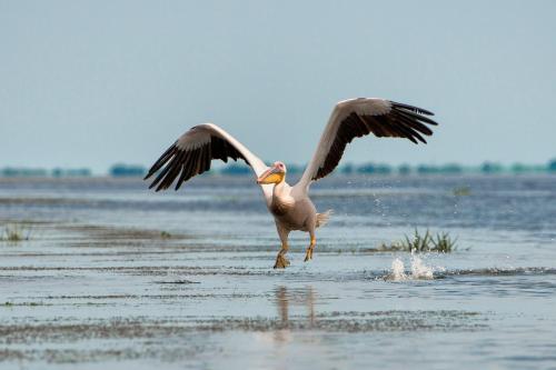 A környék, Casa Nicola in Mila 23