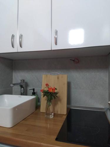 Skrapari Studio Apartment in Corovode