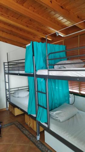 Arena Nest Hostel