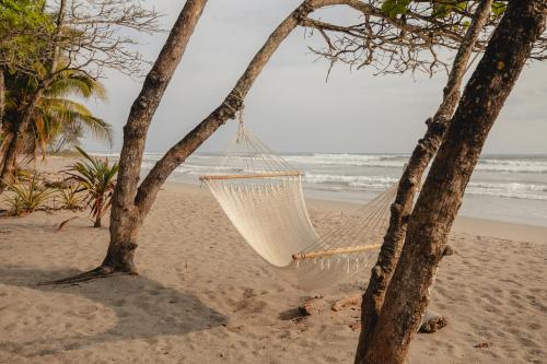 plage, Blue Mist Hotel- Adults Only in Santa Teresa
