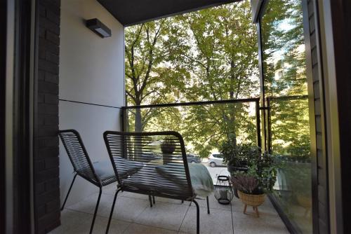 Green Apartament City Center, Wrocław (photo 9)