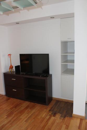 One-Bedroom Apartment image 7