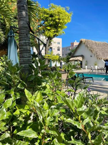 Nuovo Hotel Playa Catalina