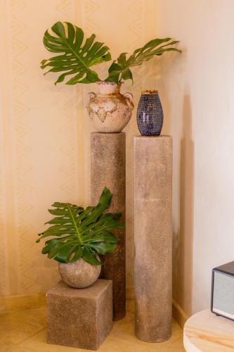 389522799 La Valise San Miguel de Allende, member of Small Luxury Hotels