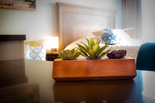 364 Seaside Ave #810 - image 6