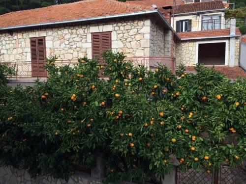 Holiday house with a parking space Svirce, Hvar - 17682