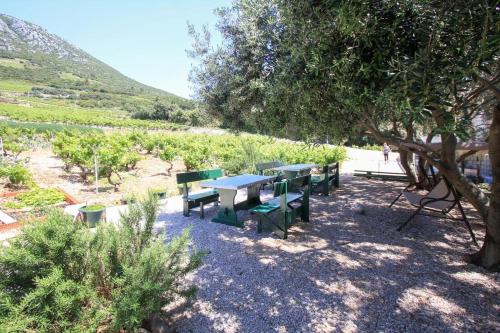 Family friendly seaside apartments Dingac - Borak Peljesac - 18060 - image 13
