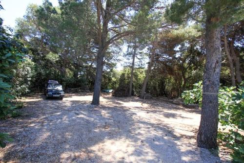 Family friendly seaside apartments Dingac - Borak Peljesac - 18060 - main image