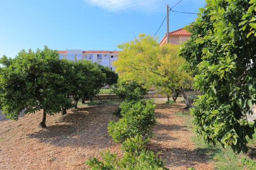 Apartments with a parking space Trogir - 18116 - image 4