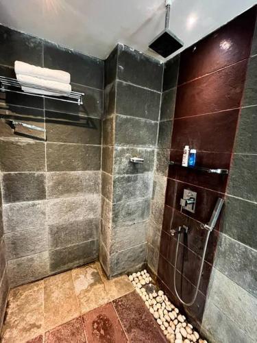 Contemporary 4BHK Villa with Pool near Candolim photo