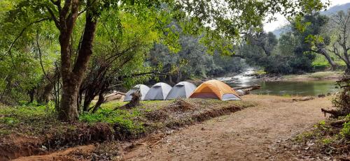 Coorg River Rock Camping