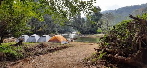 Coorg River Rock Camping
