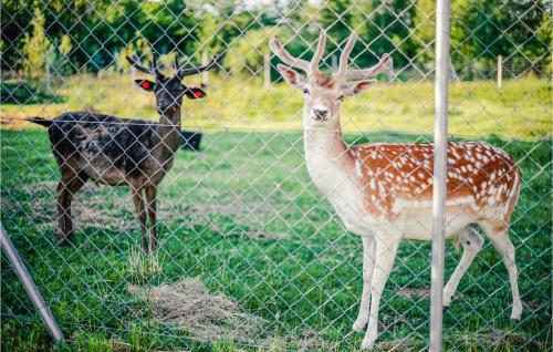 Two-Bedroom Holiday Home in Dabki - image 2