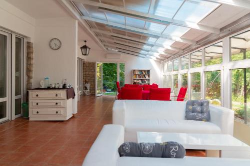 Sylvia Haz in Tihany